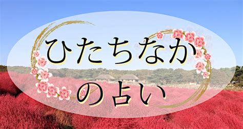 ひたちなかの占い7選！当たると評判の占い師たち！霊視で評判。